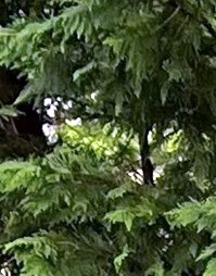 James Yoder Obituary - Lake Worth, FL