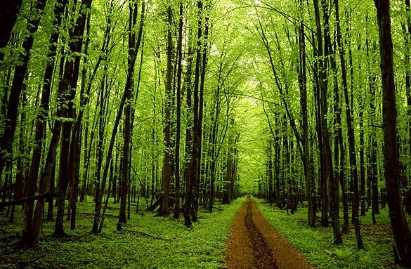 Obituary of Robert J. Hurley