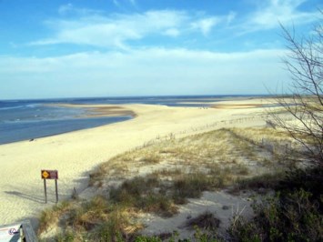 Obituary of Dr. Robert F. Burke