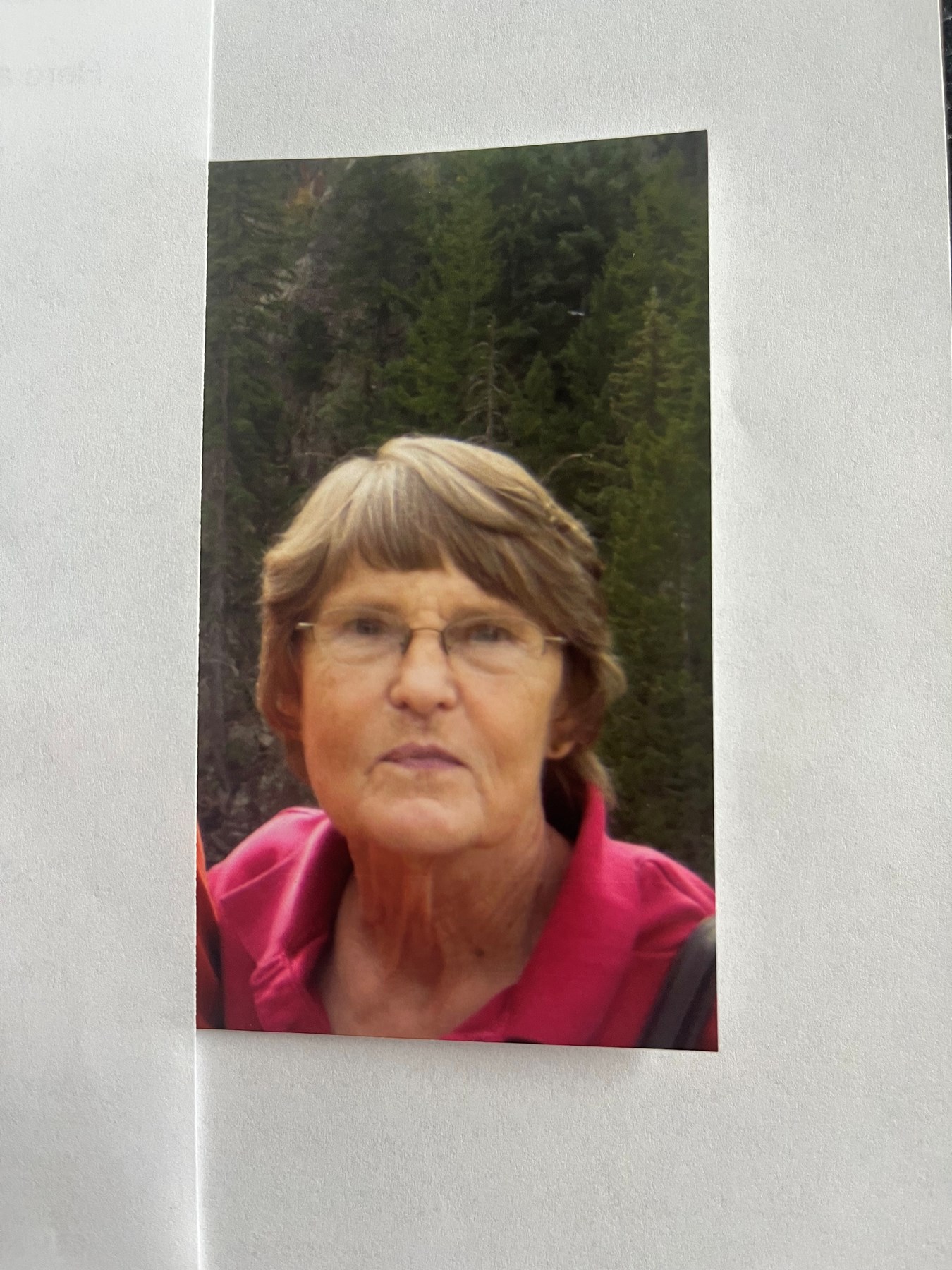 Obituary of Diane Lynn Nemec