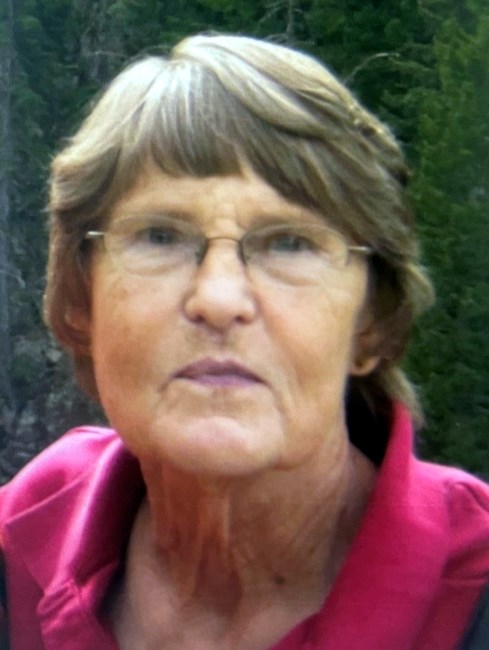 Obituary of Diane Lynn Nemec