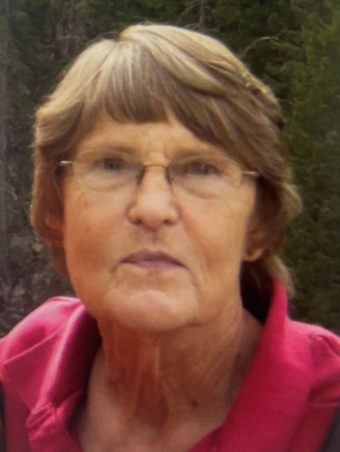 Obituary of Diane Lynn Nemec