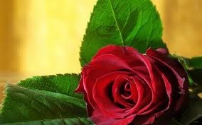 Obituary of Maria Zeljeznjak