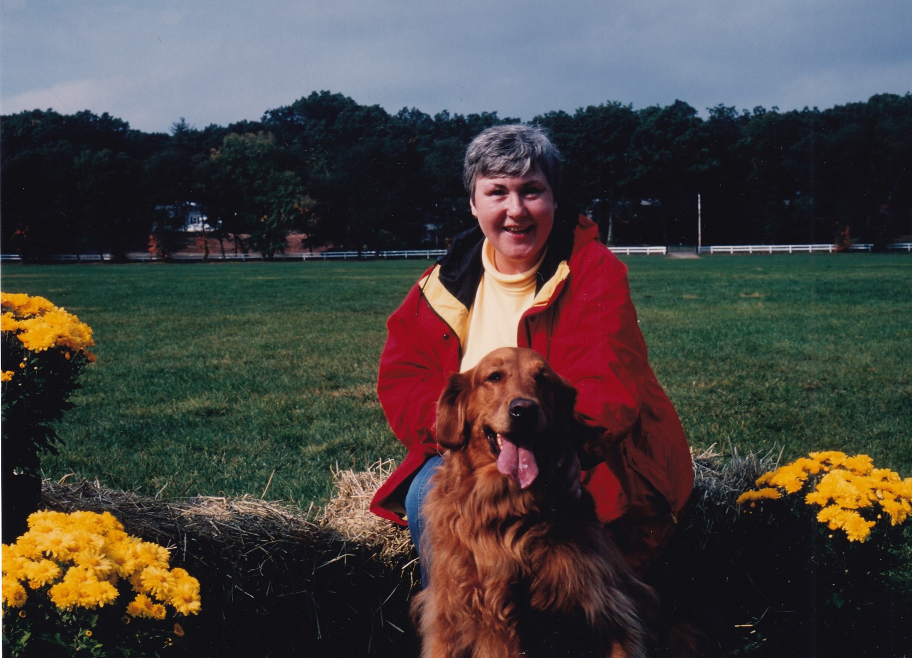 Obituary of Sheila Faith O'Neill