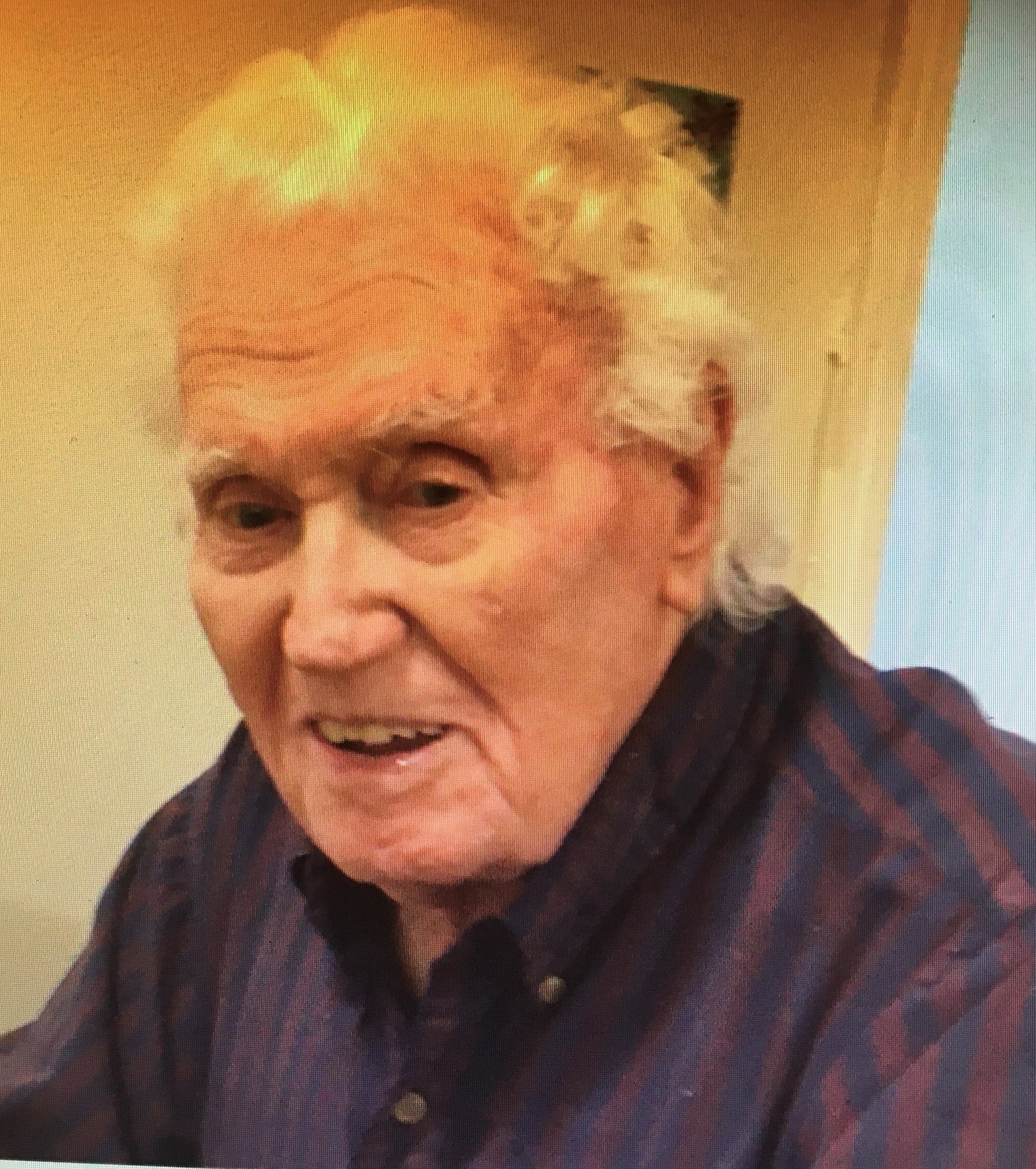 Obituary of Herman Holt