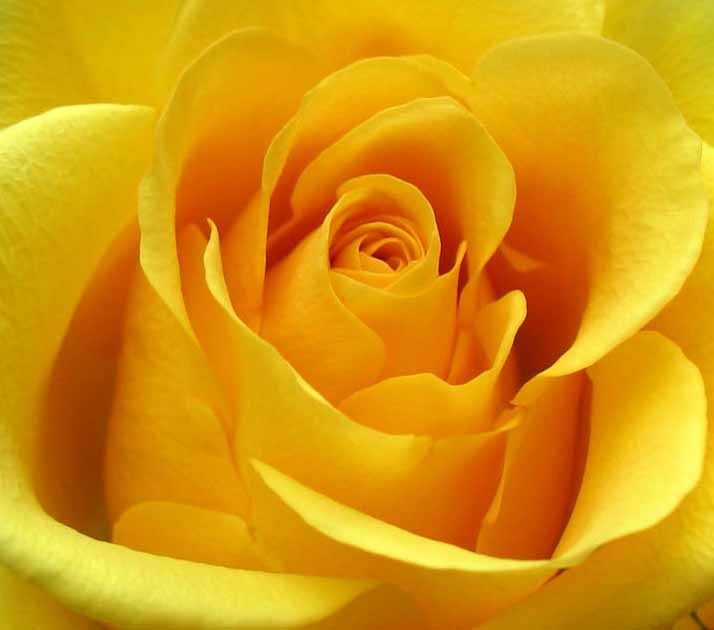 Obituary of Mary C Slade