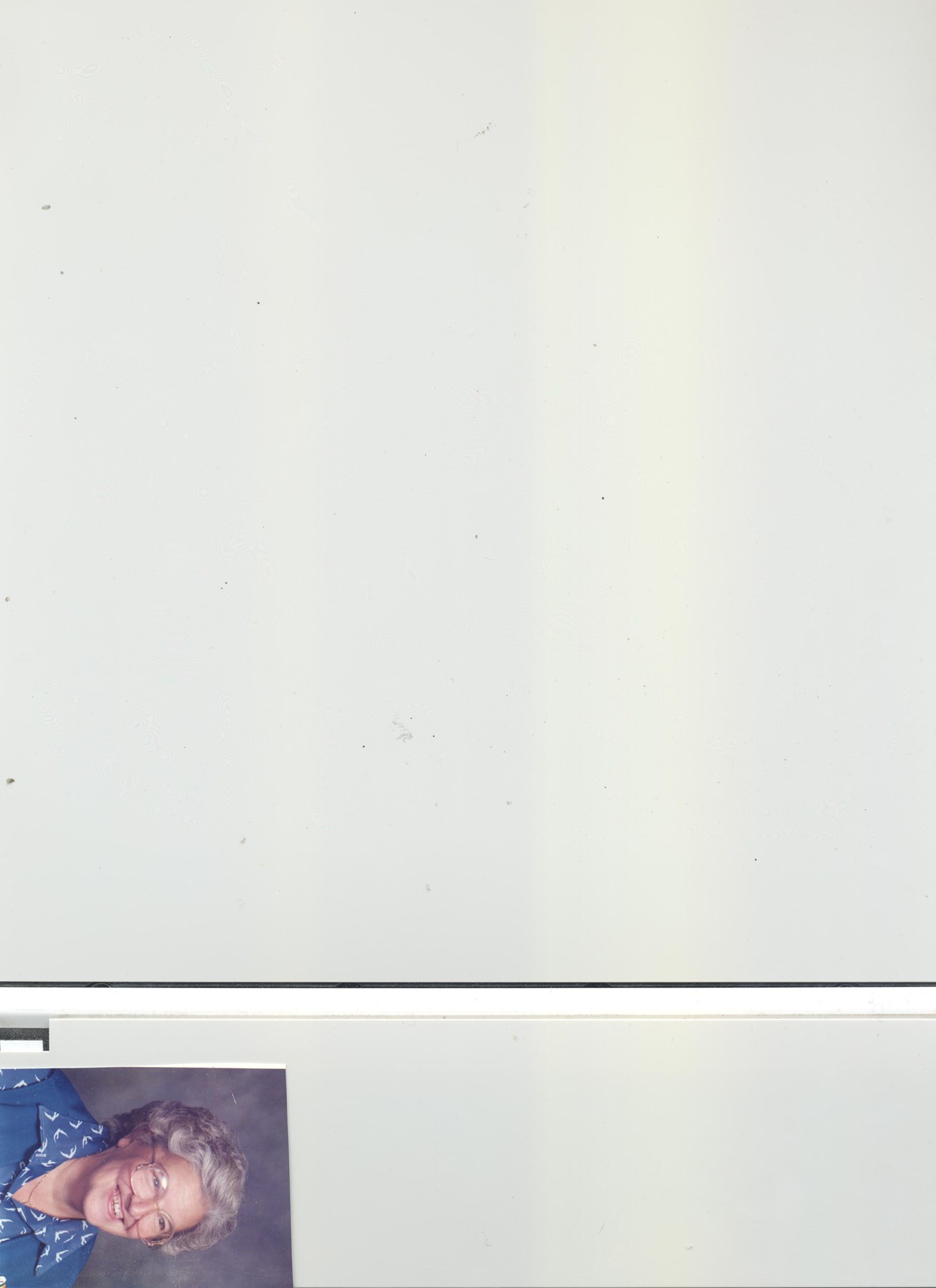 Obituary of Angelina Gruppuso