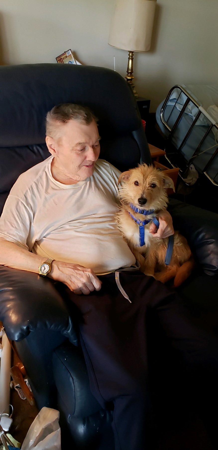 Obituary of Thomas Allen Shoe