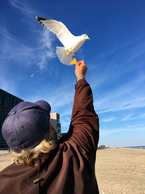 Obituary of Robert "Bob" Bruce Stevenson