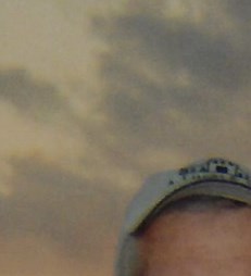 Toni Butler Toni L. Butler Obituary - Peoria, IL
