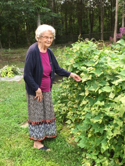 Obituary of Daisy Davis Daniels