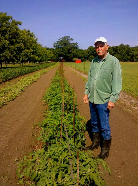 Obituary of Thomas Hardee Batten