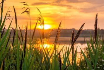 Obituary of Christopher David Larington