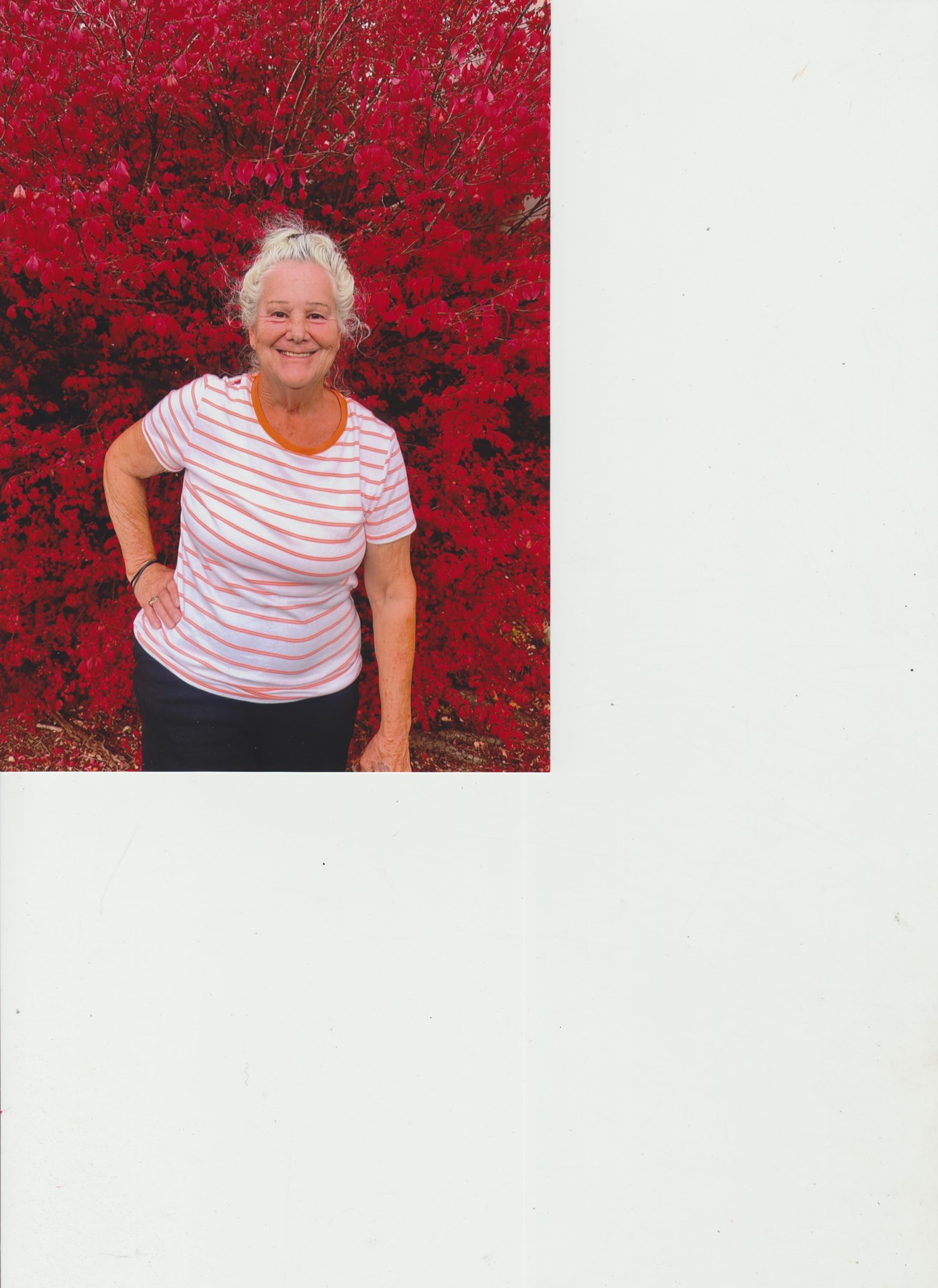 Avis de décès de Patsy Ann Henderson