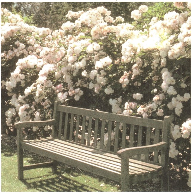 Obituary of Linda Carole Whittaker