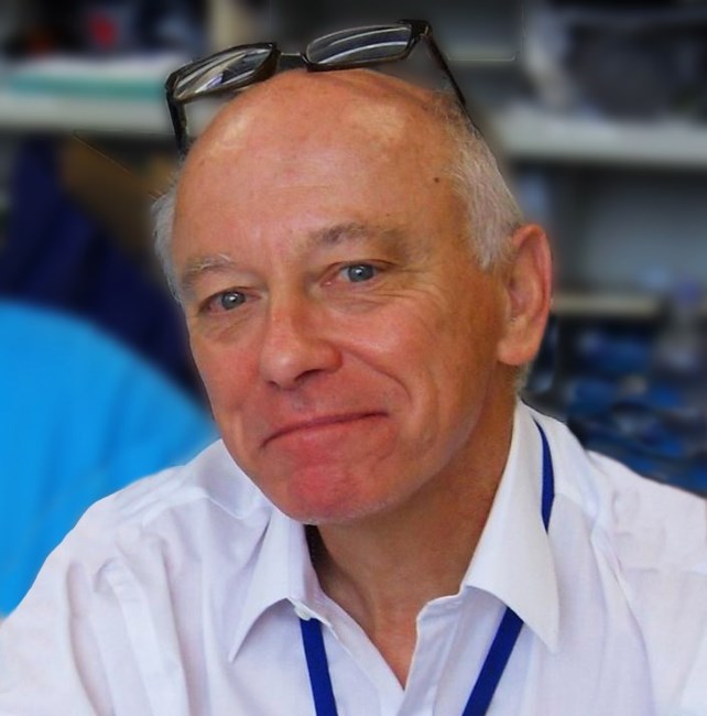 Obituary of Donald Allen Stroup