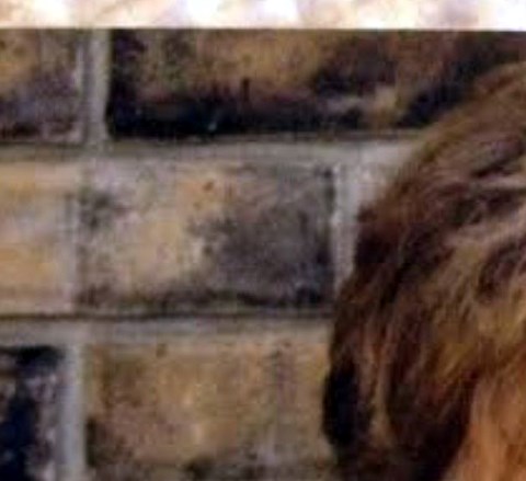 Joyce Vaughn Obituary Anniston, AL
