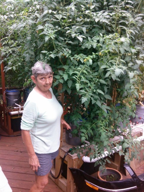 Obituary of Edith Willis