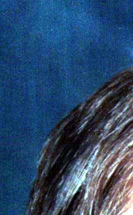 James Robert Johnson Obituary Middleburg, FL