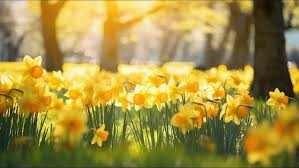 Obituary of Corazon Flor Cantuba