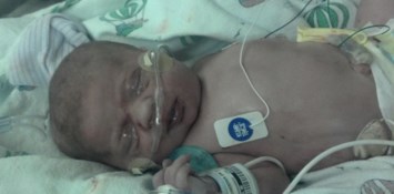 Obituary of Colt Hunter Hoffman