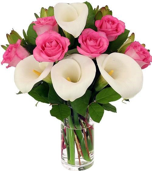 Obituary of Jane Oliver Salmon