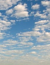 Obituary of Fannie Rae Shapiro