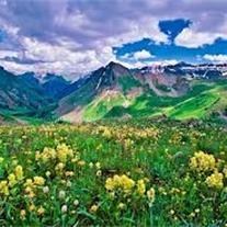 Obituary of Alice M. Adams