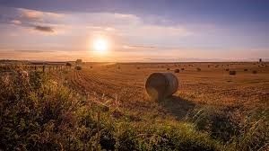 Obituary of Gordon John Alexander MCCRACKEN