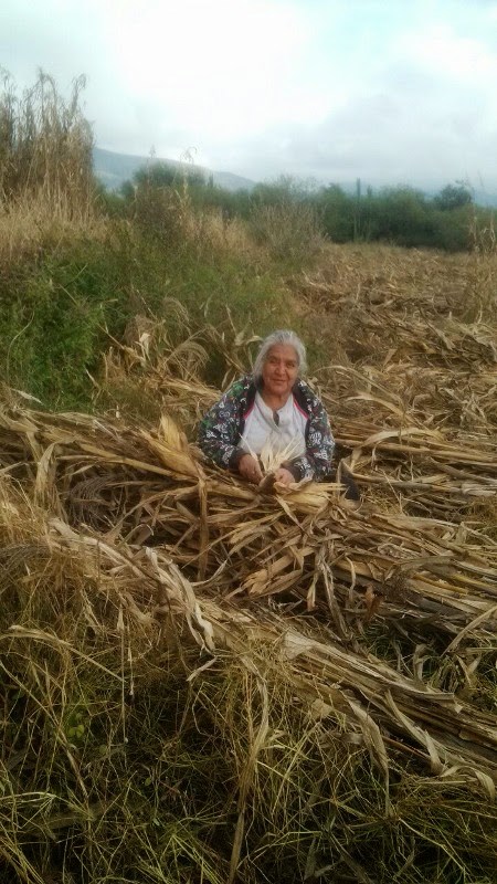 Obituary of Juana Sierra Torres
