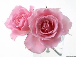 Obituario de Alice J. Chadwell