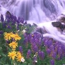 Obituary of Thomas Michael Barnes