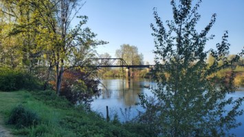 Obituary of Richard Jay Skorka