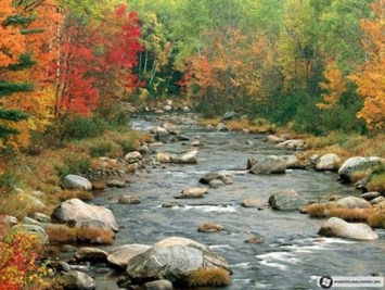 Obituary of Todd Joseph Madajski