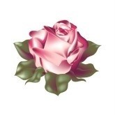 Obituary of Laverne A Blassingame