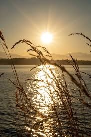 Obituary of Lisle Conrad Russell Jr.