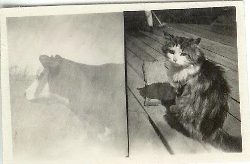 Joella Tromble Obituary Colorado Springs Co