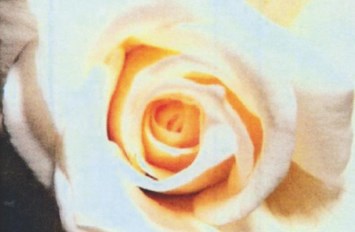 Obituary of Bonita L. Kaiser