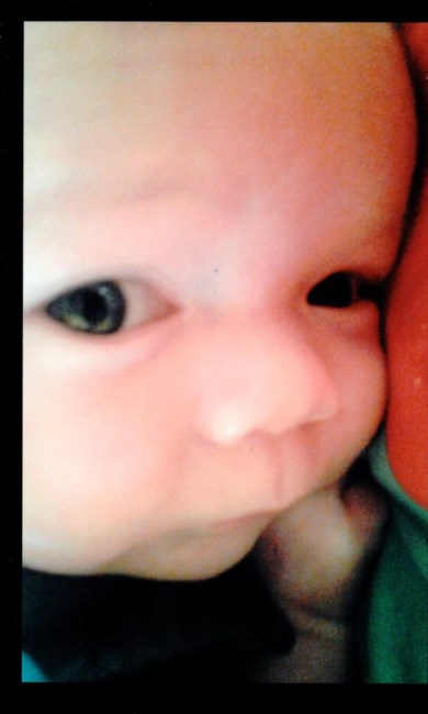 Obituary of Damien Paxton Kranzman