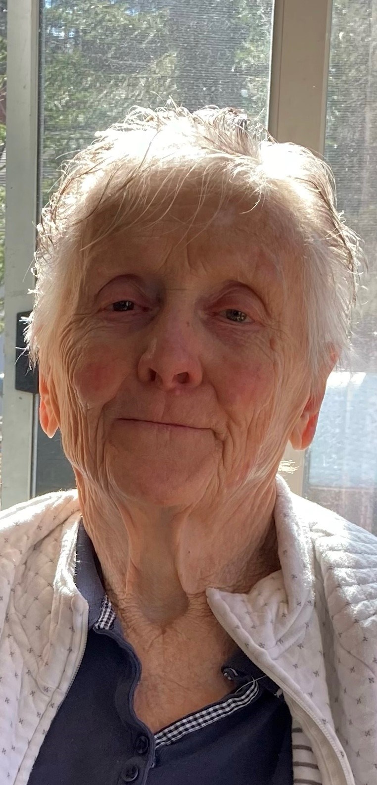 Obituary of Alberta Miedema