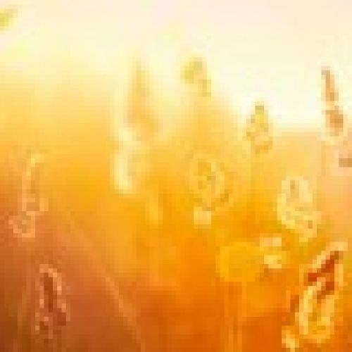 Obituario de William W. Combs