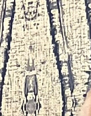 Austin Daily Herald Obituaries Todaypopup Modals Html