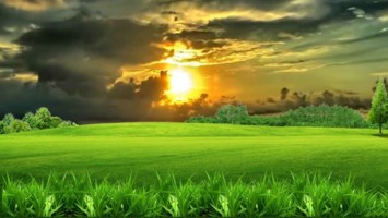 Obituario de Robert Dana Dodge