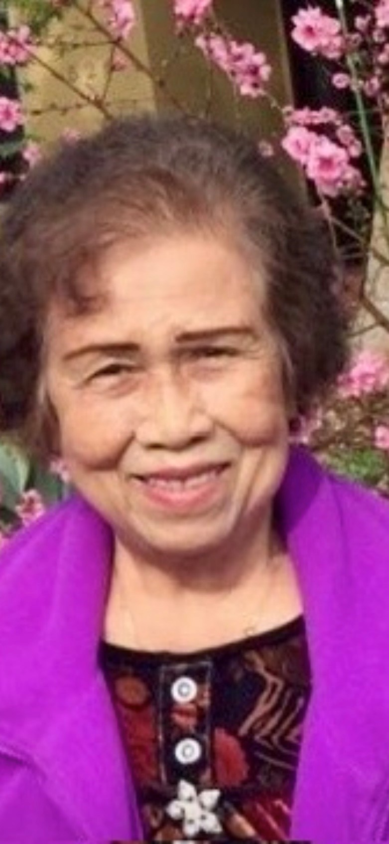 Obituary of Bi Chuan Pan Yu