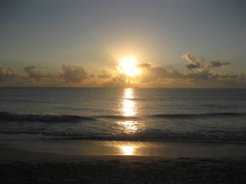 Obituary of Ann H Carroll