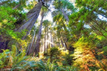 Obituary of James Frederick Leamon