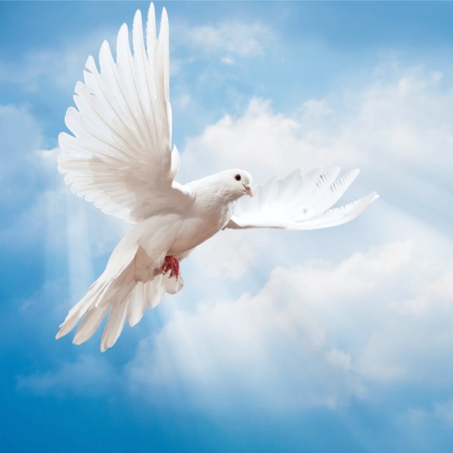 Obituary of Reginald Jose Roberts