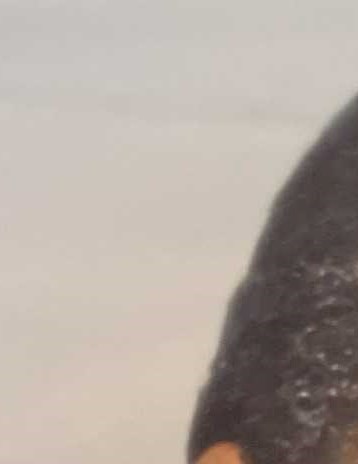 James Powell Obituary Memphis, TN