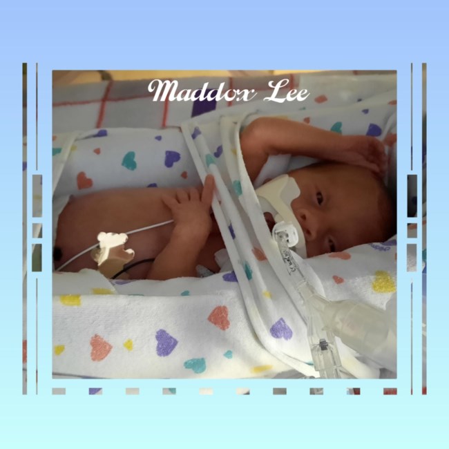 Obituary of Maddox Lee Loeffler