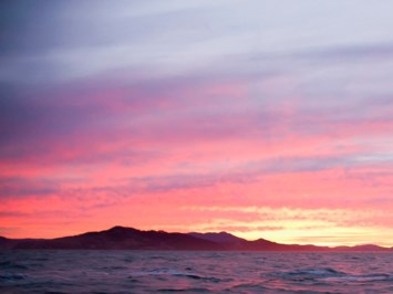 Obituary of Jodi Beth Lyons